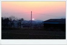 청도의 벚꽃_2 (청도야외공연장, 공설운동장입구)/ [2014. 04. 04, 퇴근하며 집에 오던 길에...] - ♧ 카페 앨범 - 합천인덕사 청도의 벚꽃_2... 