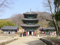봄 소풍 (화순=쌍봉사.운주사.)