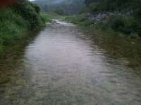 계곡물이넘좋아요 - 카페 앨범 - 솔밭가든펜션 계곡물이넘좋아요