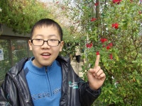 닭꽃, 막딩과의 데이트 - 생활속의 이야기 - 산들바람여름 닭꽃, 막딩과의 데이트