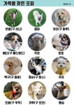 가족을 찾은 포피 (20.12.10 : 48마리) - 포피 친구들 소개 - 포해피니스 유기동물 쉼터 가족을 찾은 포피 (20.12.10 : 48마리)