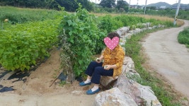 2019년 9월 활동사진(2) - 부모사랑 사진 앨범 - 축산 부모사랑주간보호센터 2019년 9월 활동사진(2)