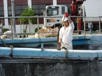 현장사진 - 참고할 만한 자료 - 우수건설(주) 현장사진