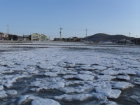 일상탈출여행카페 : 국내여행 해외여행 | (대부도) 뜨리바다 펜션 - Daum 카페 (대부도) 뜨리바다 펜션