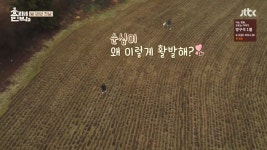 ＊여성시대＊ 차분한 20대들의 알흠다운 공간 | [효리네민박2] 구아나 모카 순심이 산책시키는 효리윤아 - Daum 카페 [효리네민박2] 구아나 모카... 