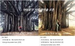 4월 1일부터 저녁 마이솔 시작합니다. - 공지사항 - 목동하타 4월 1일부터 저녁 마이솔 시작합니다.