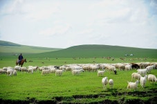 아름다운 초원 - ◈ 이쁜 이미지 ◈ - 코스모스화원 아름다운 초원