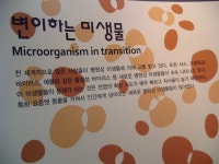 2010 제천 국제 한방 바이오 엑스포/ 악초 및 발효 2 /춤쟁이 - 춤쟁이 국내 나들이 - 댄스매니아들 2010 제천 국제 한방 바이오 엑스포/ 악초... 