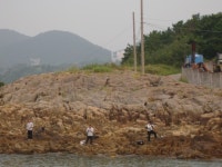 맥전포 방파제에서 감시와의 춤을...