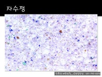 친환경 베란다 칠 - 기본 자료 - 부천 범박 휴먼시아 2단지 엄마~~!! 탄성코트한 집에서 살고 싶어요~~!! 친환경 베란다 칠