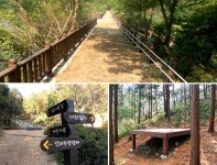 목포 양을산 삼림욕장 - Daum 카페 목포여행에서 관광객이 휴식을 통해 건강을 증진 할 수 있는 목포의 새로운 명소 - 목포 양을산 삼림욕장