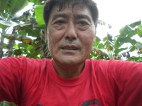 방목 농장 울타리 완공 - 우리들의 이야기 - 웨스트민스터신학대학원대학교 동문카페 방목 농장 울타리 완공