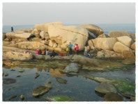 2012년 가을 가족산행후 고성 봉포항에서6 - ♣ 사진자료실 ♣ - 춘천기계공업고등학교 18회 동기회 2012년 가을 가족산행후 고성 봉포항에서6