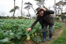 모박사본점 직영농장,주동만회장,농업법인 모박사안성백김치, - 카페 앨범 - 안성맛집 부대찌개브랜드 모박사 모박사본점 직영농장,주동만회장... 