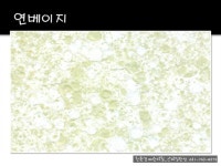 탄성코트 칠한 집에서 살고싶어요^^ 친환경_베란다칠 - 기본 자료 - 부천 범박 휴먼시아 2단지 엄마! 탄성코트 칠한 집에서 살고싶어요^^ 친환경... 