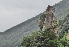 월운사 | 소나무와 계곡 - Daum 카페 소나무와 계곡