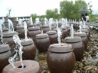 세미원1 연꽃 보러오세요 /춤쟁이 - 춤쟁이 국내 나들이 - 댄스매니아들 세미원1 연꽃 보러오세요 /춤쟁이