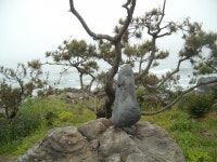 제주올레 12코스 (무릉2리 제주자연생태문화체험골-용수포구 -절부암) / 춤쟁이 - 춤쟁이 제주 올레길 - 댄스매니아들 제주올레 12코스 (무릉2리... 