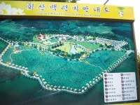 회산 백련지 1 - 춤쟁이 국내 나들이 - 댄스매니아들 회산 백련지 1