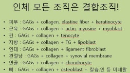 생리학, 생화학 - 치료적 맞춤운동, 비타미네, 영성 연구소 10가지 조직의 서로 다른 구조, 기능, 손상, 치유과정 그 결과물의 이해와 진정한 치유