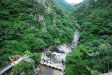 제9회 포항 천령산(775m)청아골 보경사 계곡 산행 - 산행일정 및 신청방 - 평택 산누리 산악회 평택 산누리 산악회