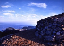 전국공무원노동조합 경기지역본부 안산시지부 가을의 가운데서...