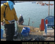 서신바다낚시터 4월7일 조황입니다