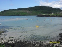 함덕해수욕장 구경 - 유유자적 이야기 - 유유자적 in 제주(애월자연농원) 함덕해수욕장 구경