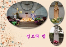 성모의 밤 2014. 5.2. 부활 쩨 3주일 2014. 5.4. - 전례꽃꽂이앨범 - 갈산동성당 성모의 밤 2014. 5.2. 부활 쩨 3주일 2014. 5.4.
