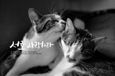 사랑의 편지, 내 몸같이 사랑해야 할 믿음의 형제에게 - 홍보 - ccm 타브 악보 자료실 사랑의 편지, 내 몸같이 사랑해야 할 믿음의 형제에게