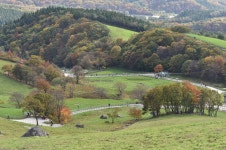 대굴령 양떼목장 - ◐문화기행 - KM8 대굴령 양떼목장