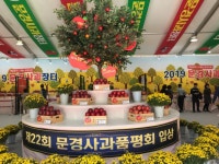 2019 사과 축제 품평회 - 산골농원 이야기 - 산골농원 - 문경약돌사과 2019 사과 축제 품평회