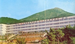 부산 울산 경남의 추억 사진박물관 | 부산진 여자고등학교 - Daum 카페 부산진 여자고등학교