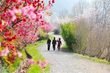 진해 드림로드(임도) - ........자유게시판 - 월배산악회 월배산악회