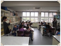 대합초등학교- 벚꽃에 얽힌 이야기 살펴보기 - 커뮤니티 - (사)부산경남숲해설가협회 (사)부산경남숲해설가협회