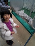 ^^ - 카페 앨범 - 2013 아이솔유치원 교사회 ^^