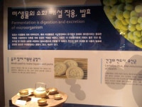 2010 제천 국제 한방 바이오 엑스포/ 악초 및 발효 2 /춤쟁이 - 춤쟁이 국내 나들이 - 댄스매니아들 2010 제천 국제 한방 바이오 엑스포/ 악초... 