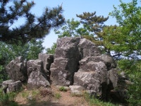 지하철 - 자유게시판 - 사단법인 한국산악회 부산지부 2016년5월1일 개금역 -백병원-엄광산-꽃마을-구뎍산-대티고개 지하철