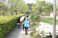 한밭수목원에서 진행한 숲태교