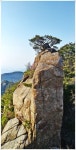 경남청녕 관룡산,화왕산 진달래산행(2019/04/13)＜배바위~753봉~날머리 주차장＞ > 테마산행