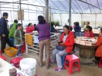 3월 29일 개강식 - 2014년 농장이야기 - 분토주말농장 3월 29일 개강식