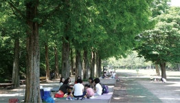 【탐방】경상남도산림환경연구원 - 풍경이 있는 여행 - 거제도 이야기 【탐방】경상남도산림환경연구원