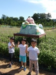 천일홍축제 - 2018창조반 - 덕계선교어린이집 천일홍축제