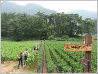 제46회 정선 취적봉~덕산기계곡 트레킹 - 산행일정 및 신청방 - 평택 산누리 산악회 평택 산누리 산악회