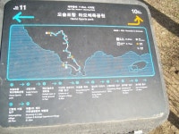 제주 올래11코스 - 춤쟁이 제주 올레길 - 댄스매니아들 제주 올래11코스