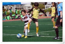 2013 주말리그전 - 초등학교주말리그 - 달성군유소년축구클럽 2013 주말리그전