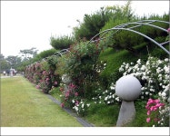 죽산성지 - 가톨릭 - 5670 아름다운 동행 죽산성지