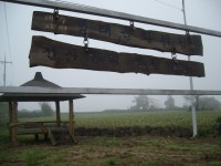 제주 올레 11코스 (하모해수욕장에서 무릉2리... 올레길 - 댄스매니아들 제주 올레 11코스 (하모해수욕장에서 무릉2리 제주자연생태문화체헙까지)