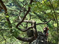 지리산 둘레길, 구룡폭포구간 산행. - 회원 산행일지 - 목포녹색산악회 지리산 둘레길, 구룡폭포구간 산행.