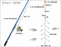 전어낚시 기본 채비 - 루어낚시 - 행복만들며살기 전어낚시 기본 채비